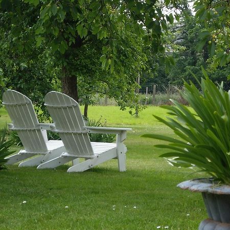 B&B Schoon Goed Gingelom エクステリア 写真