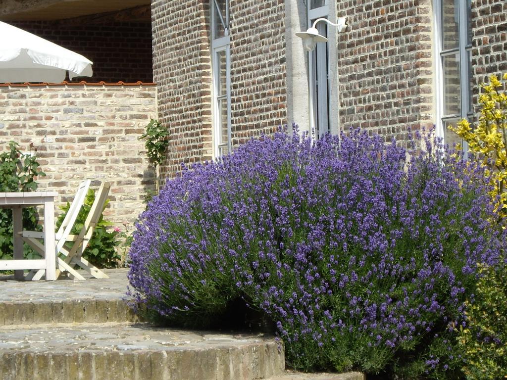 B&B Schoon Goed Gingelom エクステリア 写真