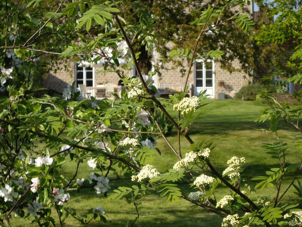 B&B Schoon Goed Gingelom エクステリア 写真